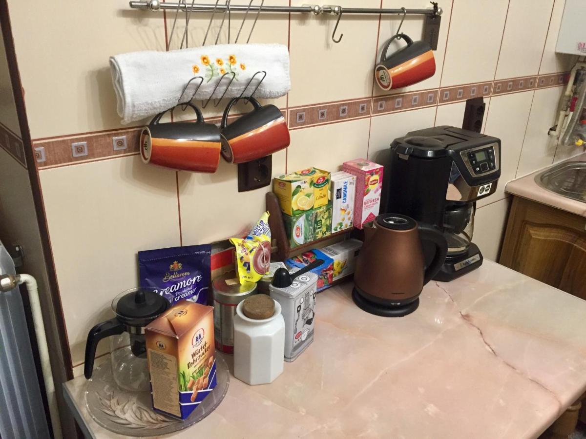 Apartament Veverite Slănic-Moldova Buitenkant foto