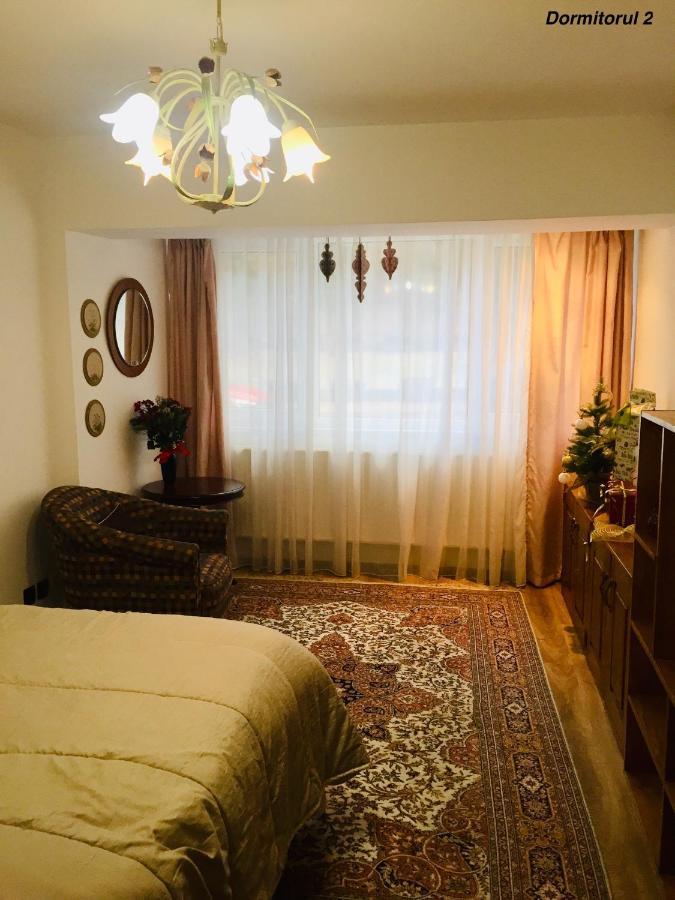 Apartament Veverite Slănic-Moldova Buitenkant foto