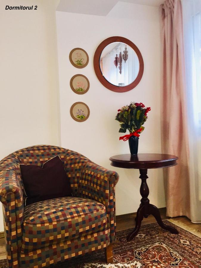 Apartament Veverite Slănic-Moldova Buitenkant foto